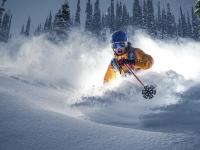 开云下载-德甲争冠焦点战启示录，葡萄牙式防守哲学如何锁死里昂式进攻