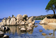 开云官方app入口-伦纳德冰封步行者，北京队主场见证压制级表演