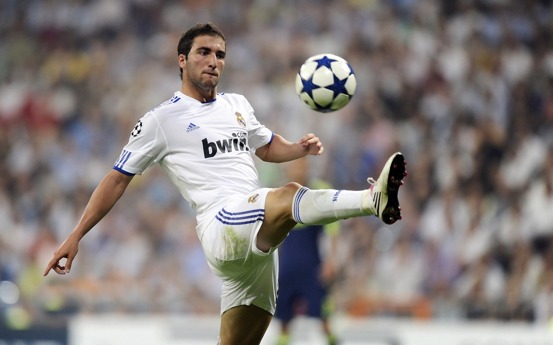 解码福克斯，美加墨世界杯之夜的隐形操盘手