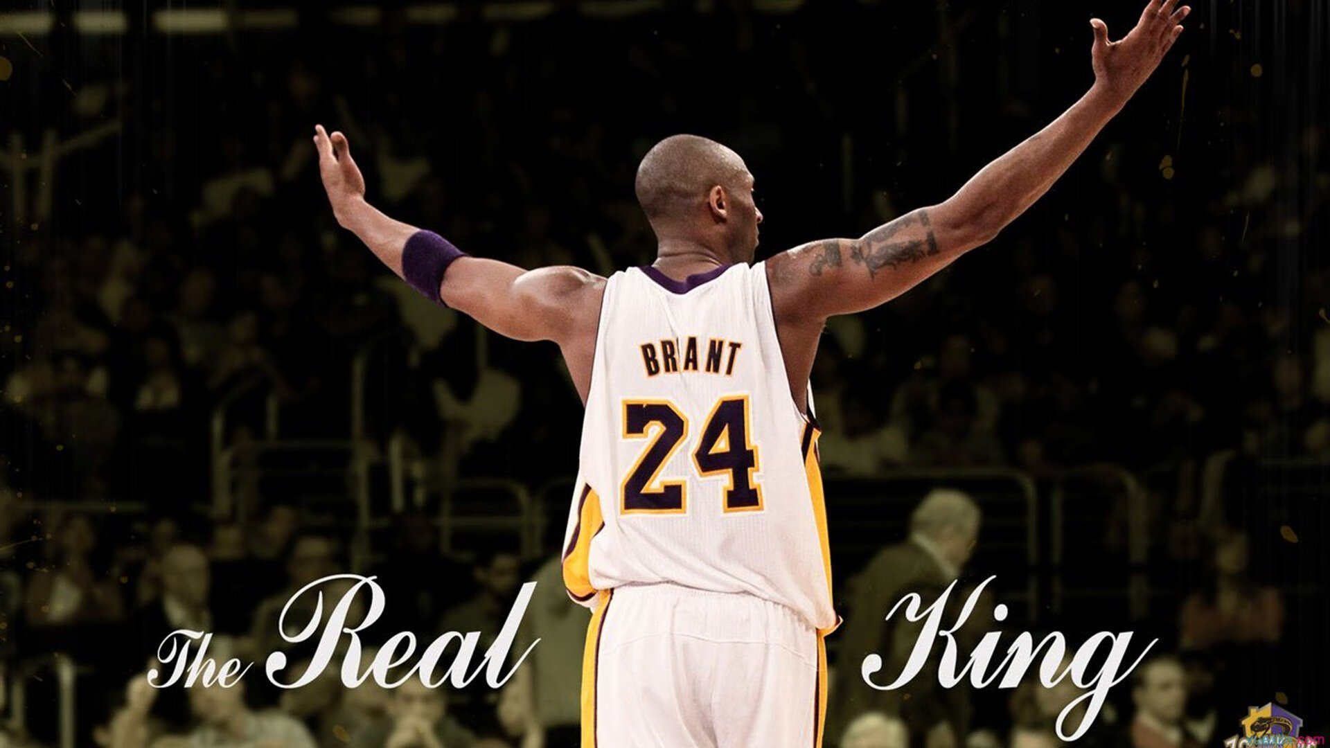 当约基奇成为无解命题，从NBA到CBA，破解超级核心的战术迷思